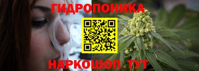 спиды Канаш