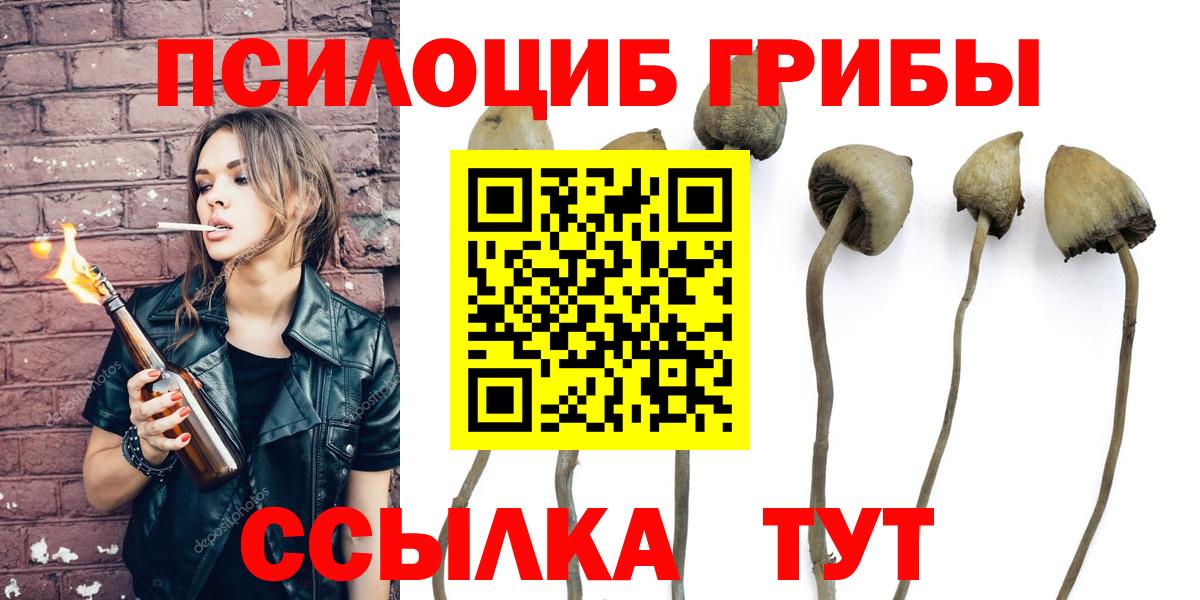 Псилоцибиновые грибы MAGIC MUSHROOMS  Галлюциногенные грибы мухоморы  Благовещенск  Вход с VPN 