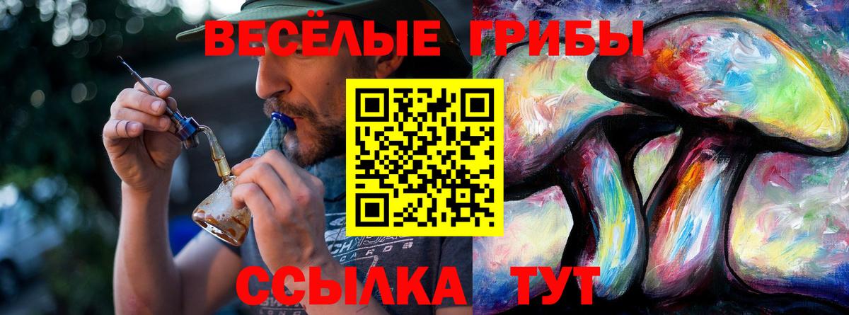 Галлюциногенные грибы Psilocybe Благовещенск
